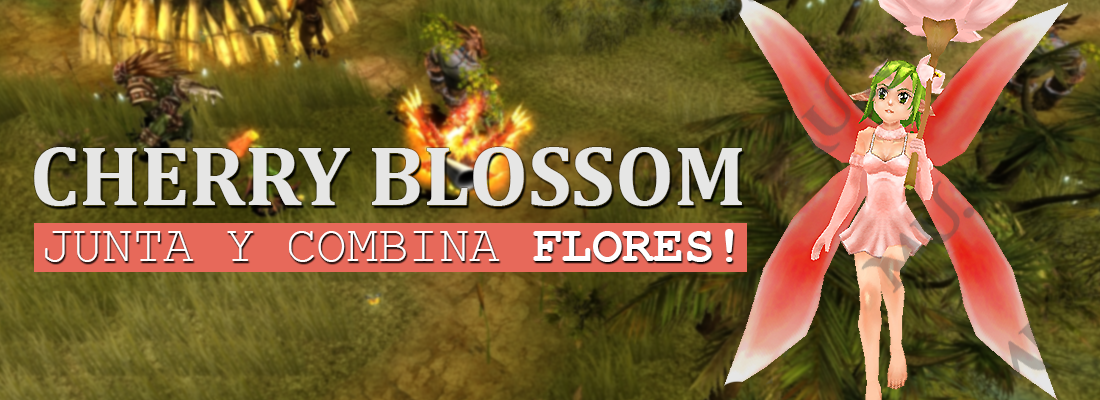 Cherry Blossom